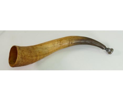 Hunting Horn made from cattle horn: Silver plated mouth piece, length 44cm. 