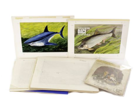 A small collection of watercolour artist proofs, mainly by Keith Linsell of various fish, plus one by another artist of a cou