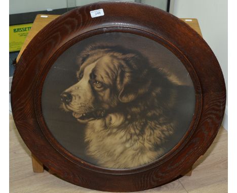 Large coloured portrait print of a St Bernard dog in oak frame 
