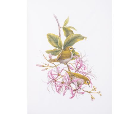 Birds.- Van Someren (Linda) &amp; G. R. Cunningham Van Someren.&nbsp;Birds I, vol. 1 only (of 2), one of 500 copies signed by