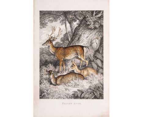 Howitt (S[amuel]) British Preserve, engraved title and 36 engraved plates with hand-colouring, tissue-guards, publisher's adv