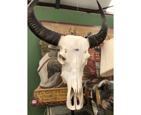 A spiral horned antelope skull with horns
