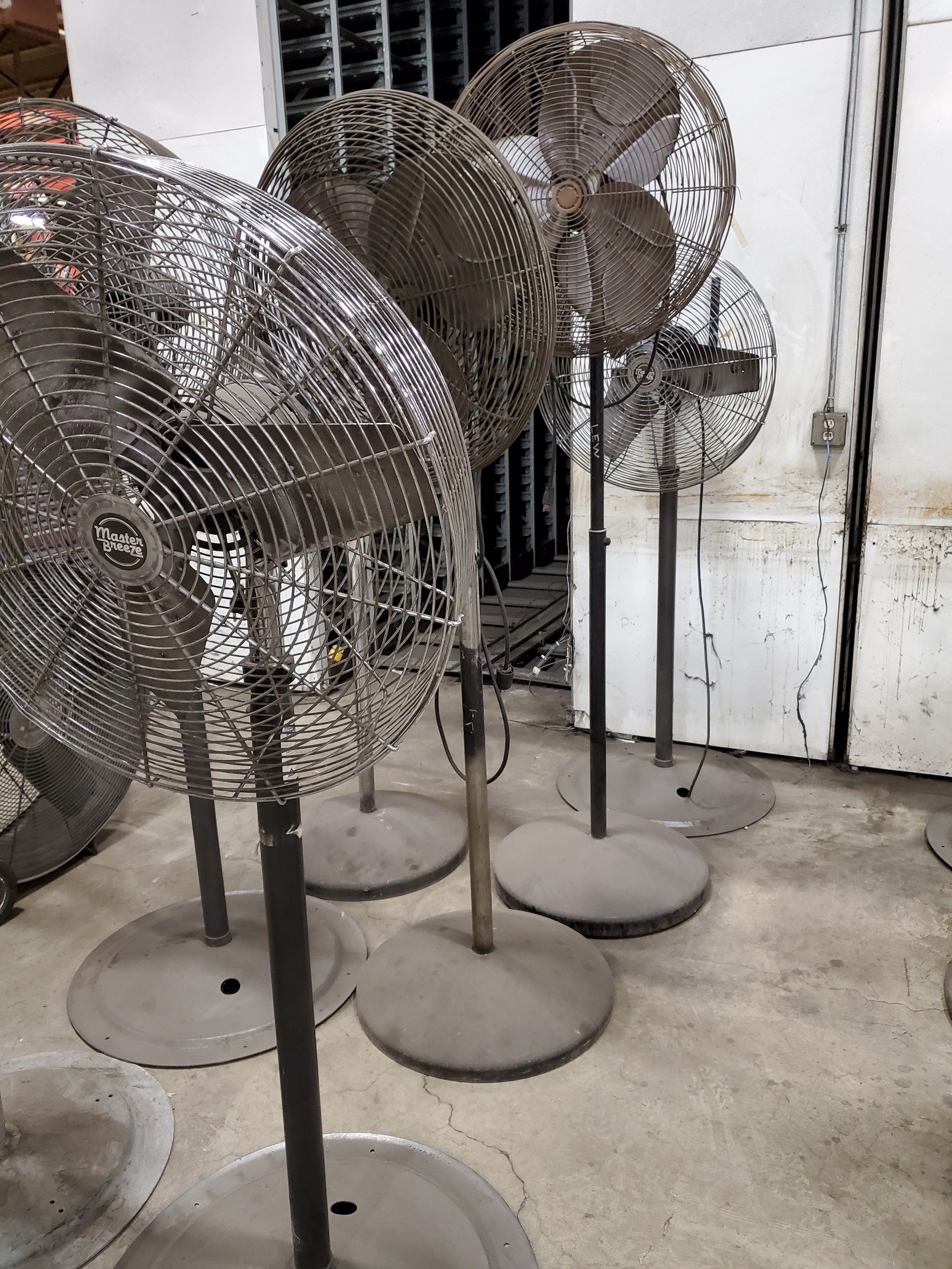 { Group of lots 279, 280 (P) } (5) ASSORTED PEDESTAL FANS 24'' 30''