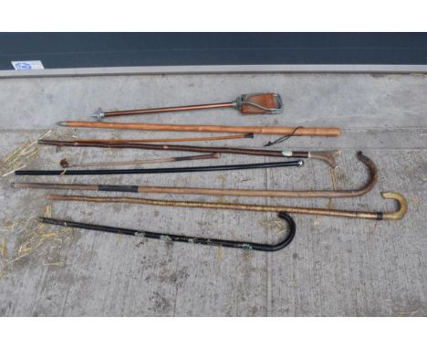 A mixed collection of sticks and similar items to include a shepherd's crook (repaired), shooting stick, canes etc (9). 143cm