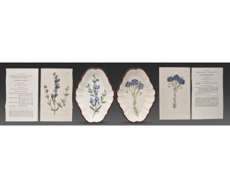 Two Don Pottery 'Royal Scollop'd' fine white earthenware botanical dessert dishes, c1810, painted with different specimens af