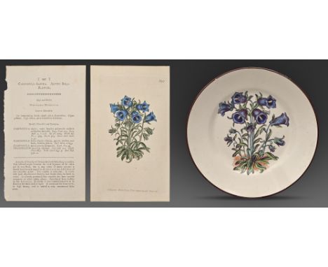 A Don Pottery fine white earthenware botanical dessert plate, c1810,&nbsp;painted with the alpine bellflower, after the illus