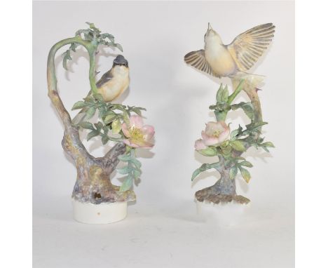 Pair of Royal Worcester bird groups modelled by Dorothy Doughty, one with the Lesser Whitethroat and Wild Rose and the second