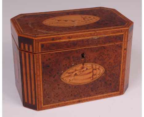 An early 19th century birds-eye maple and inlaid fitted tea caddy, the cover and front with conch shell marquetry inlay withi