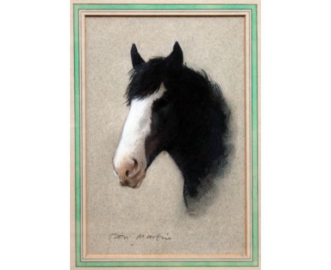 Pastel horse head portrait, 19cm x 27cm, signed, framed and glazed.