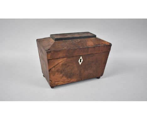 A 19th Century Burr Wood Sarcophagus Shaped Tea Caddy with Ball Feet, 22cm wide 