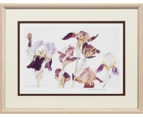 * ELIZABETH BLACKADDER DBE RA RSA RSW RGI DLitt (SCOTTISH 1931 - 2021), IRISES  limited edition print on paper, signed and nu