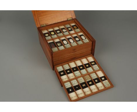 A Fine Collection of Beck Microscope Slides, various slides predominantly retailed by R &amp; J Beck, most with secondary ret