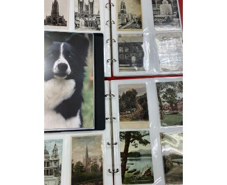 VINTAGE &amp; LATER POSTCARD COLLECTION - approximately 240 within 3 albums to include standard and large photographic and Ma