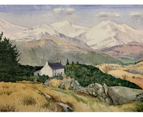 SMALL PRINTS, A PARCEL - PETER F KNIGHT watercolour - Snowy Landscape, signed, 25 x 35cms, R ROBINSON watercolour - Foxgloves