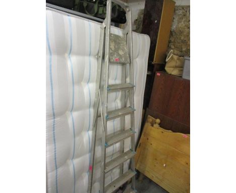 An aluminium ladder 