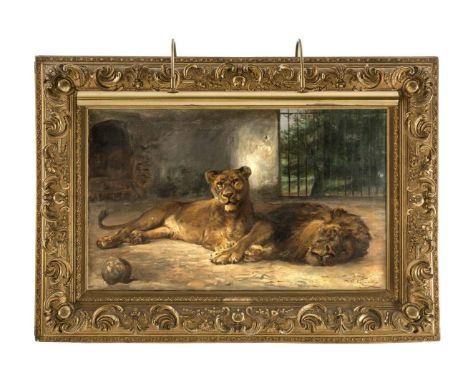 Kuhnert, Wilhelm. 1865 Oppeln - 1926 Flims/Schweiz. Ruhendes Löwenpaar. Öl/Lw. Sign. u.re. Wilh. Kuhnert. Um 1910. 50 x 80 cm