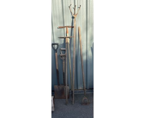 Selection of garden tools 