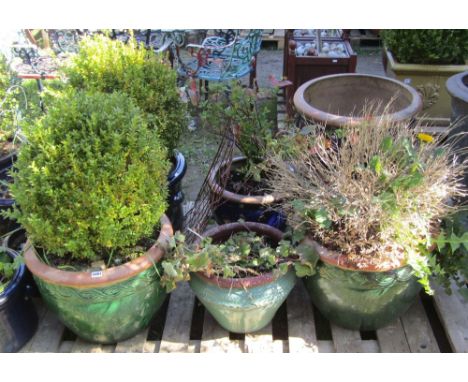 One lot of contemporary blue and green glazed contemporary planters of varying size and design, a number planted, a couple wi