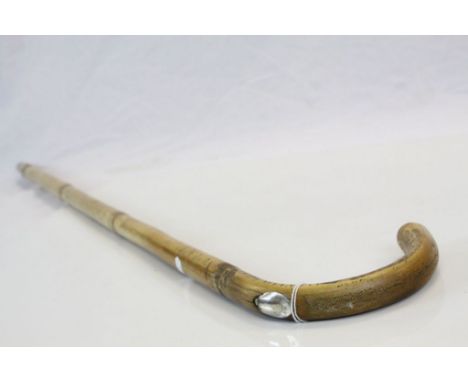 Vintage horse measuring walking stick with spirit level