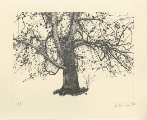 Artist: Andrew Wyeth (American, 1917-2009). Title: "New Leaves". Medium: Offset lithograph. Date: Composed 1941. Printed 1963