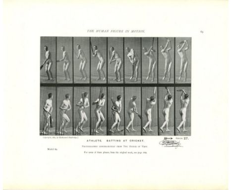 Artist: Eadweard Muybridge (English/American, 1830-1904). Title: "Athlete: Batting at Cricket [from The Human Figure in Motio