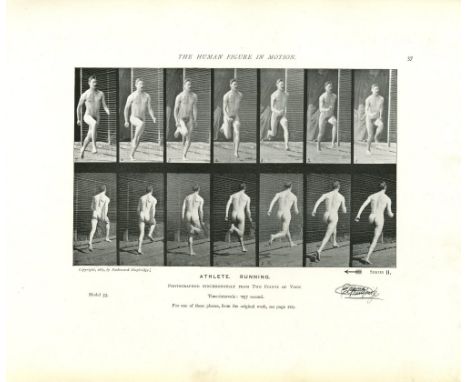 Artist: Eadweard Muybridge (English/American, 1830-1904). Title: "Athlete: Running [from The Human Figure in Motion: Plate 11