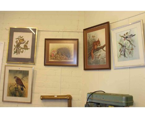 Colin Wilkinson, five wildlife watercolours, framed
