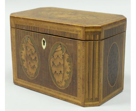 A Regency mahogany and marquetry inlaid two section tea caddy with conch shell decoration to the top and front panels, openin