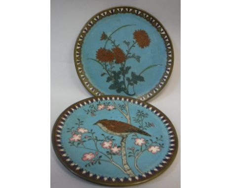 A Chinese cloisonné circular dish, the centre field decorated with bird amongst blossoming foliage, decorated verso with whit