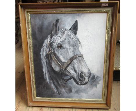 Portrait of a horse, signed Farnes