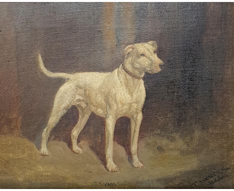 T Webster Lloyd, pet portrait, Vim, oil on canvas, 18 x 24 cmCondition untouched, light surface scratches, would benefit from