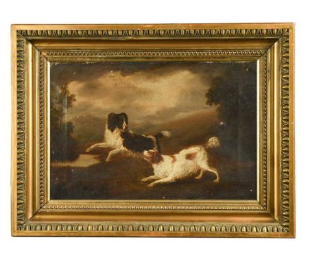 English School, 18th century Spaniels frolicking in a landscapeoil on canvas32 x 47cmUnlined.  One small patch repair verso c