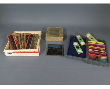 A collection of 23 microscope slides and sixteen lantern slides