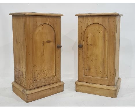 Pair of pine single pot cupboards, the rectangular tops above single arched panelled doors enclosing shelf, on plinth bases (