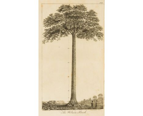 NO RESERVE Forestry.- Pontey (William) The Forest Pruner; or, Timber Owner's Assistant, first edition, engraved frontispiece,