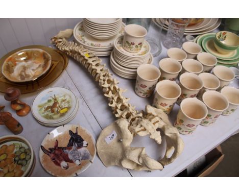 A medical model of a vertebrae