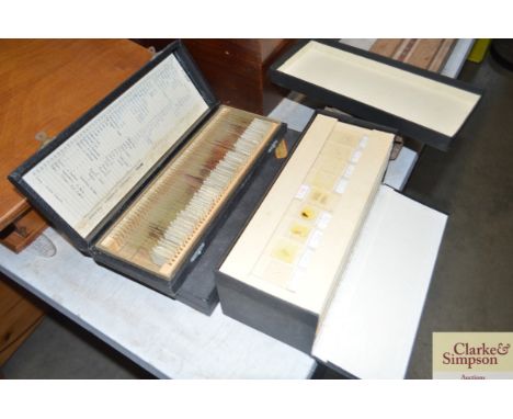 Three boxes of microscope slides