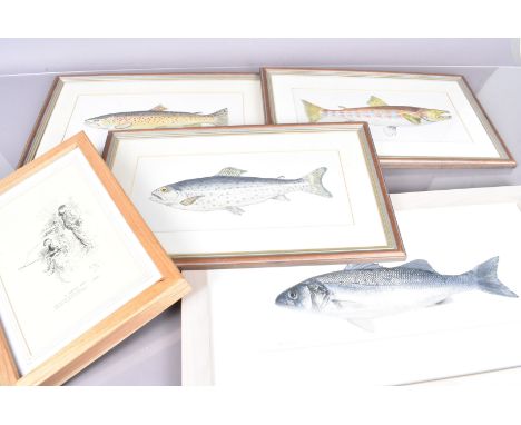Phil May print, depicting two young lads fishing, together with a Sea Bass print by S Pay, plus three fish water colours, all