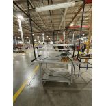Rolling Work Station with overhead light and outlets, 60x48x38x112