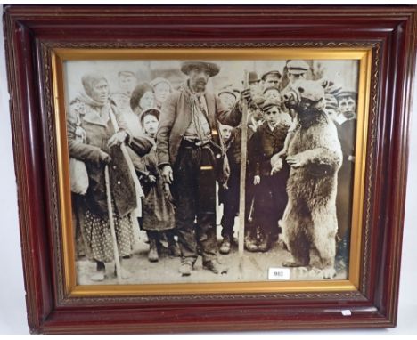 A framed print of the Forest of Dean Dancing Bear - 39 x 49cm, enlarged from a postcard 