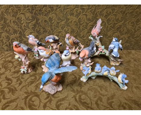 Tray of modern porcelain model birds to include Thrush, Goldfinch, Robin, Tree Sparrow, Wren, etc.