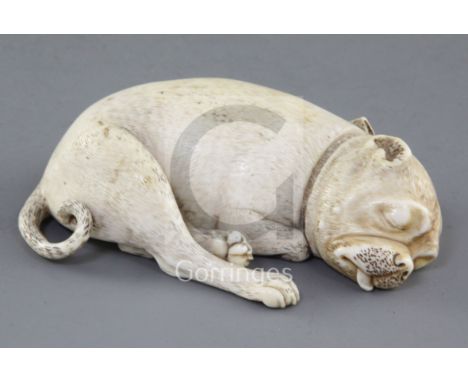 An early 19th century Dieppe carved ivory model of a sleeping Pug dog, various collector's labels including Sir Bernard Eckst