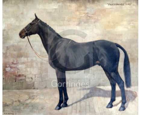 Frances Mabel Hollams (1877-1963)oil on boardPortrait of a horse 'Parsonage Lad'signed and dated '5114.75 x 17.75in.