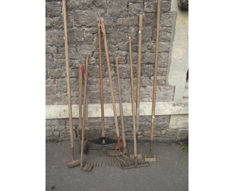 A small collection of garden hand tools with mainly long ash wood handles 