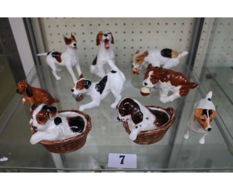 Collection of Royal Doulton &amp; Beswick ceramic dog figures (9) 