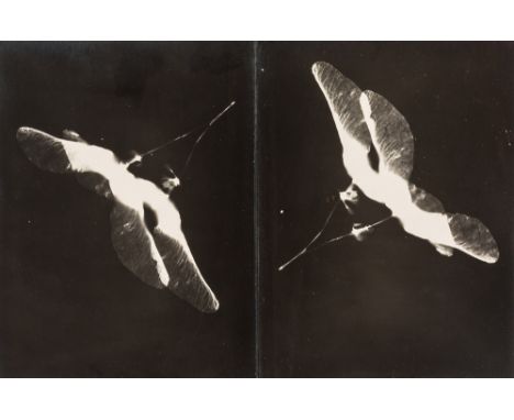 MIKHAIL MIKHAILOVICH TARKHANOV (RUSSIAN 1888-1962)Composition No. 7, 1920sphotogram9 x 12 cm (4 3/4 x 3 1/2 in.)PROVENANCECol