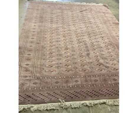 A Bokhara peach ground carpet, 320 x 215cm. Condition - poor to fair
