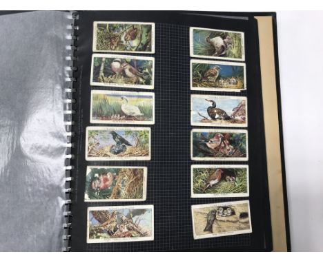 Two albums of cigarette cards together with a set of two Masonic playing cards.