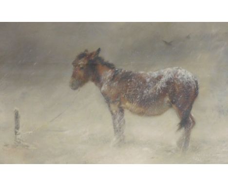 Walter Hunt (1861-1941).  'Out in the Cold', a snow scene depicting a donkey tethered to a post, facing left, the snow fallin
