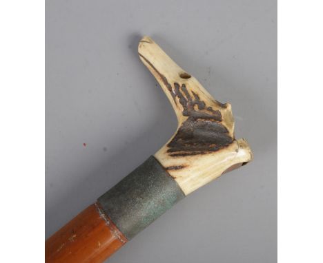 A bone handled shepherd's cane; the handle formed as a dog's head with whistle, featuring twisted rope whip to the bottom.  